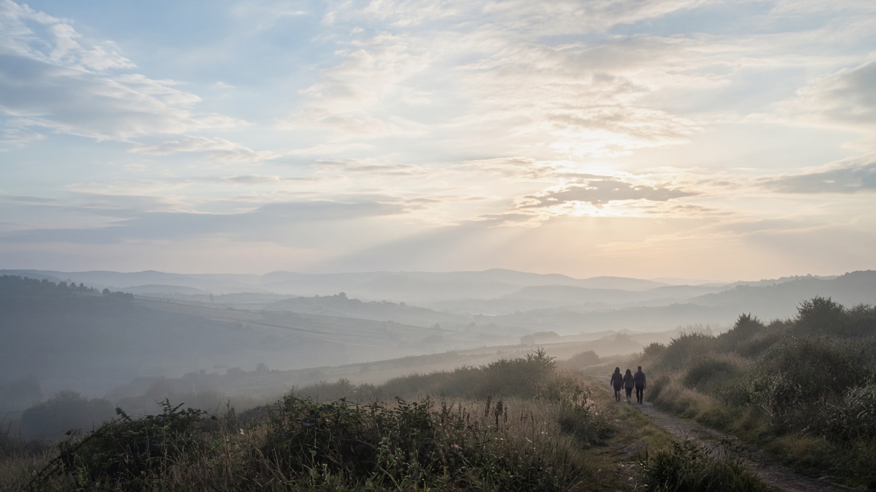 Soft morning light over a hillside path